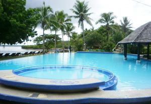 怎樣用吸污機對泳池有效去污？